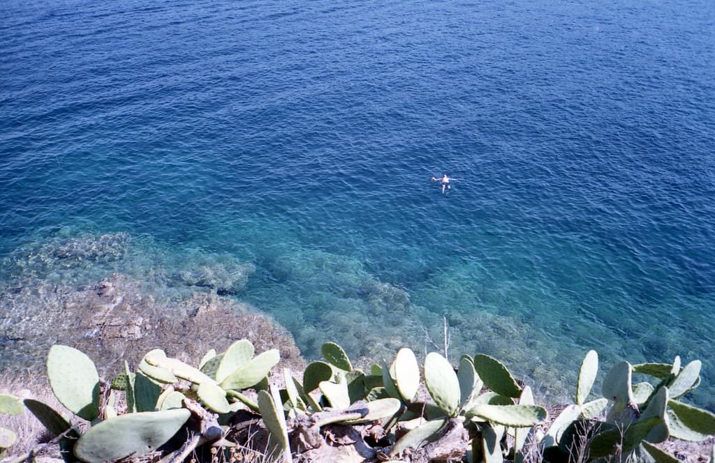 A swimmer floating in clear blue sea, seen from a cliff above prickly pear cacti